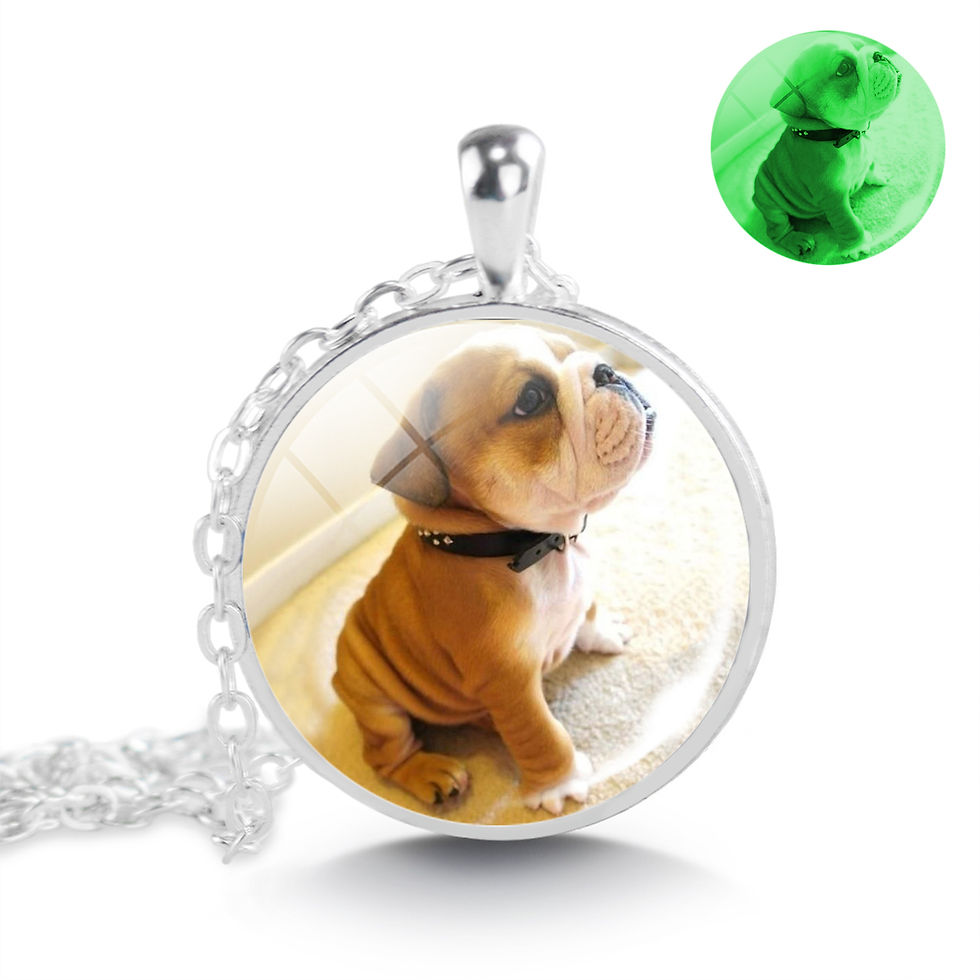 Thumbnail: Luminous Dog Photo Necklace German Shepherd Rottweiler Teddy Corgi Dog Glass Cab