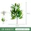 Thumbnail: Artificial Green Plant Fake Eucalyptus Leaf Flower Arrangement Accessories Weddi