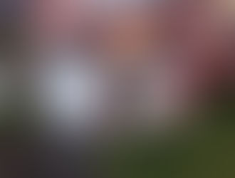 A partir de Março de 2024 - Blog estará ativo!