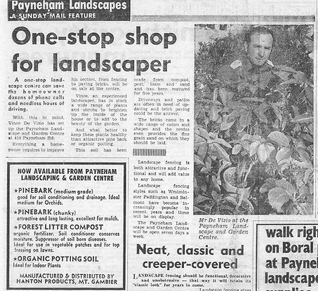 Newspaper