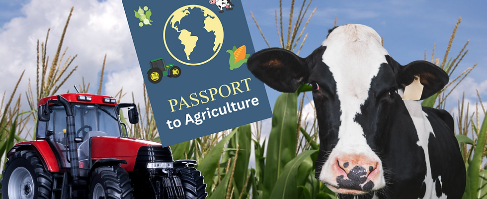 a red tractor, Passport to Agricluture logo and a dairy cow with a cornfield in the background