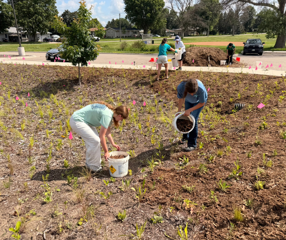 Volunteers spread mulch and plant in a sunny park bed marked with pink flags, with trees, houses, and cars in the background.