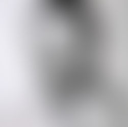 The Fellowship-Before the Beginning