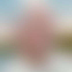 John Franklin Memorial Service