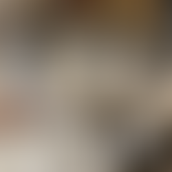 Annual Fall volunteer work day - Saturday October 18th