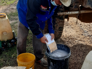 Phân bón lá Plantagreenpower PGP trên cây mía tại TTC Tây Ninh T4/2023