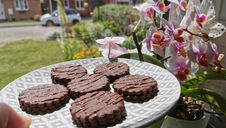 Gooey Brownie Biscuits