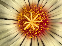 untitled image