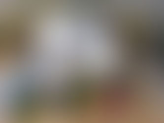 Chateau Solace Glass Villa at Bentonville easy access and total isolation perfect for retreat