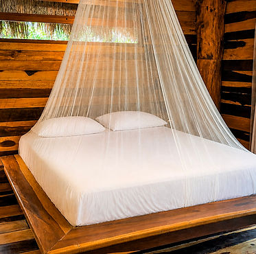 Jungle studio bedroom