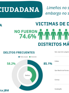Limeños sufren inseguridad ciudadana