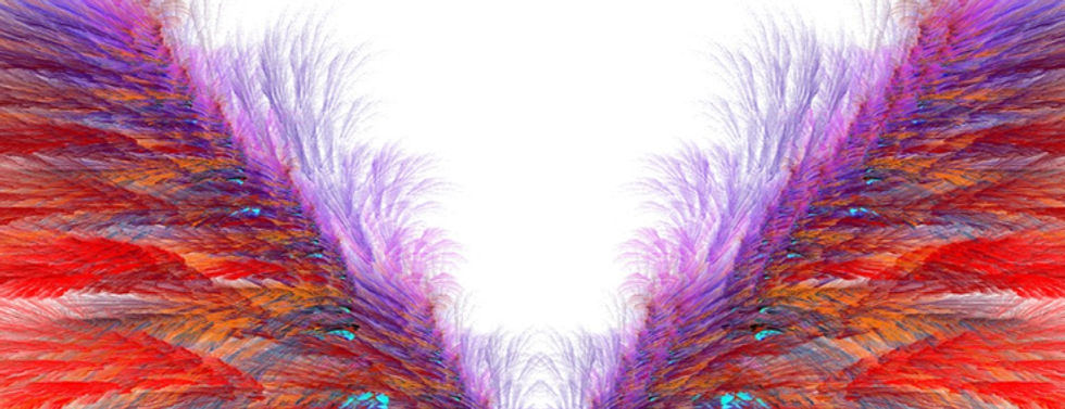 colorful wings
