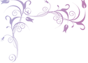 85605-1(1)_edited.png