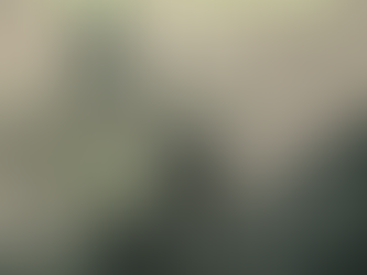 Paladin and Necromancer: Chapter 1