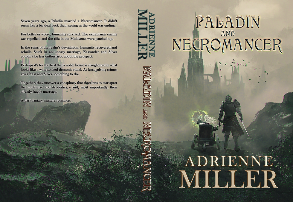 Thumbnail: Paladin and Necromancer Hardback - Signed Edition