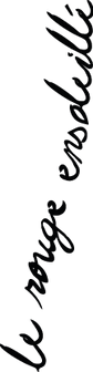 NOMS-03.png