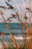 Screenshot_20210206-100819_Facebook.jpg
