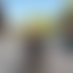 Finding Hope in the Hopelessness