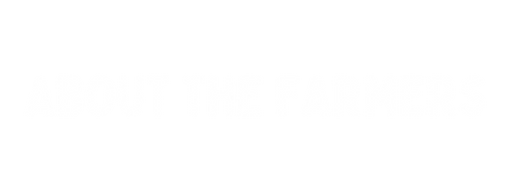 text for website (2).png