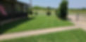 A lawn that was renovated with new seed and fresh mow.