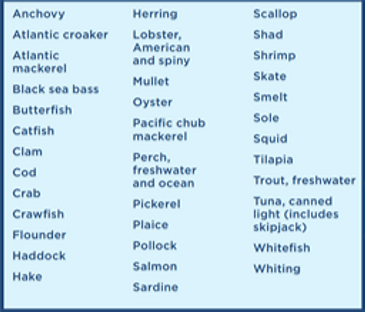 Fish%20to%20Eat_edited.png