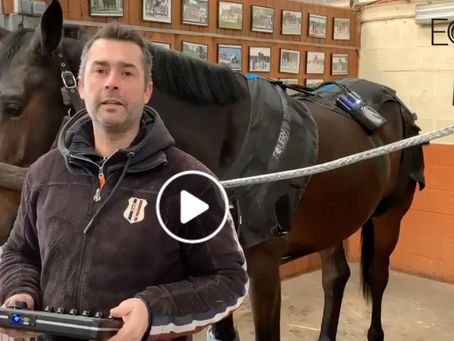 Longines Champion David Coursier about Equery...