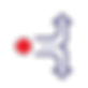 PNG_Pathway.png