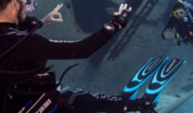 Divemaster Guide.JPG