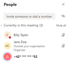 Masking PSTN participant phone numbers