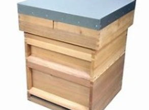 National Hive_edited.jpg