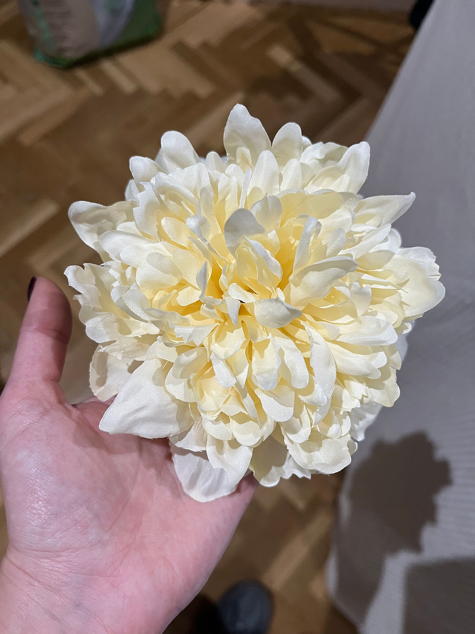 Miniatura: PEONIA PEQUEÑA 