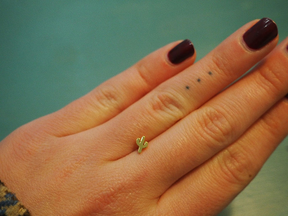 Miniatura: MINI CACTUS