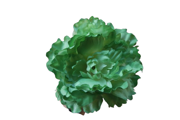 Miniatura: PEONIA TEÑIDA A MANO