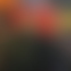 Build Your Own Village