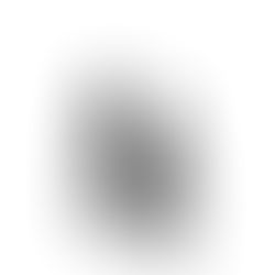 The Honesty Challenge