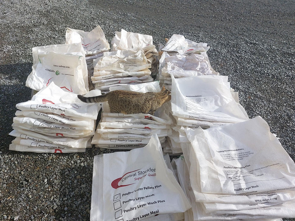 Empty seed bags waiting to be counted, illustrating how taking the first step can overcome resistance.