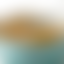 Truco: Clarificar caldos