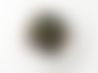 Arroz negro en robot de cocina