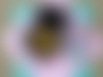 Patatas con chocos en olla GM