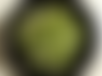 Ensalada básica de escarola