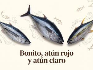 Bonito del norte, atún rojo y atún claro: ¿en qué se diferencian?