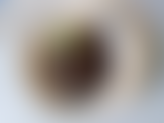 Chipirones en su tinta con arroz blanco en robot de cocina