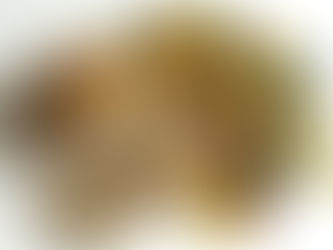 Pan rápido de trigo y centeno en robot de cocina