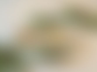 Mazapanes tradicionales