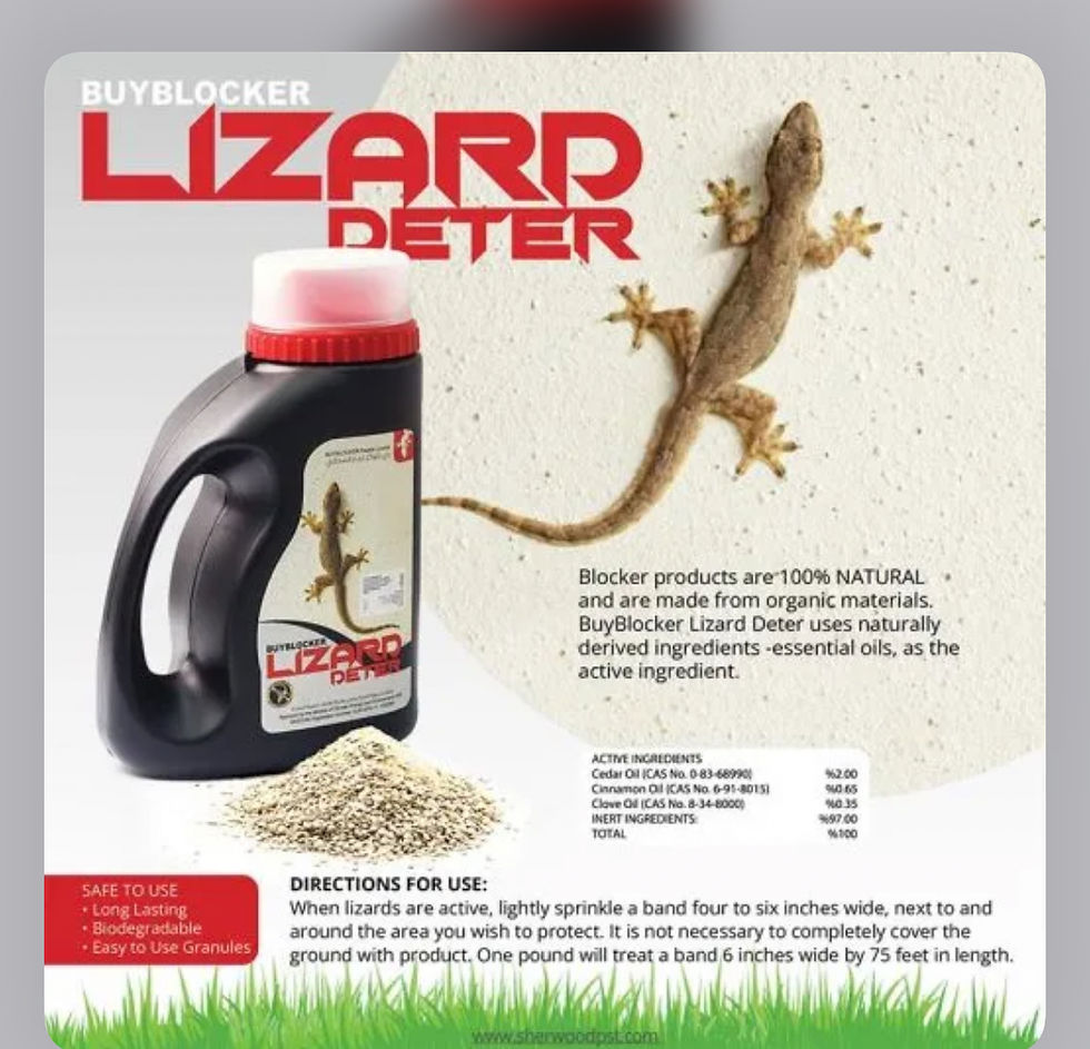 Thumbnail: lizard repellent, natural lizard deterrent, non-toxic reptile repellent, garden lizard control, home pest control