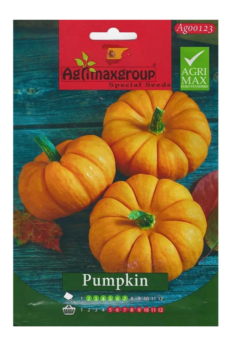 large pumpkin seeds, garden seeds, pumpkin plant seeds, high yield pumpkin, orange pumpkin seeds