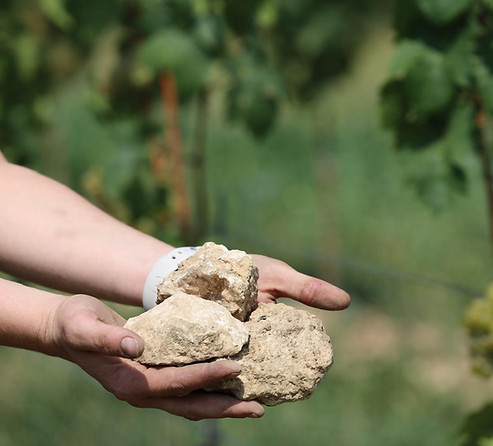 WhatsApp Image 2025-12-28 at 17.56.48 (6).jpeg