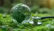 Environmental Health and Sustainability.avif