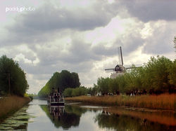 Dutch scene small.jpg
