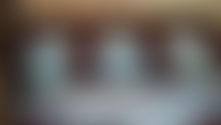 VITRALES DEL PALACIO FEDERAL.